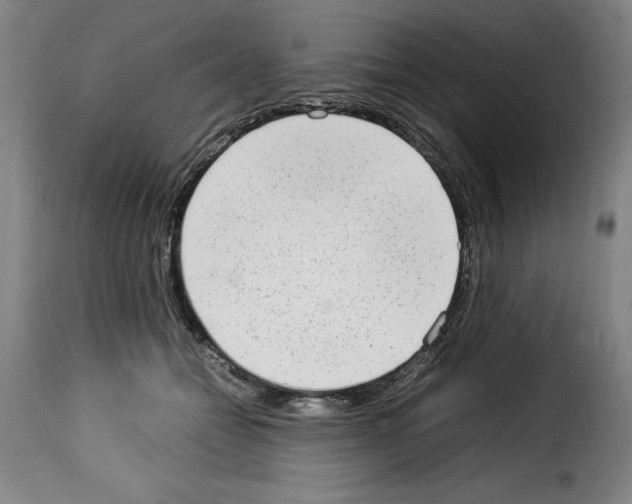 X0000114220558200911201048