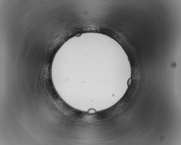 X0000114220560200911201048