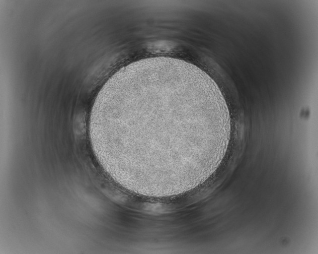 X0000114220561200911201048