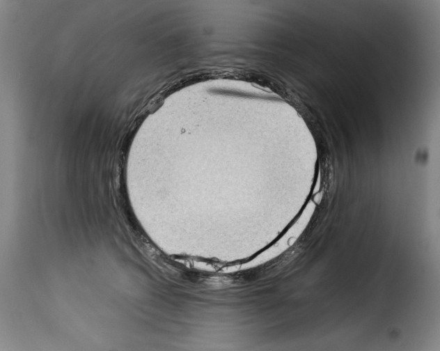 X0000114220562200911201048