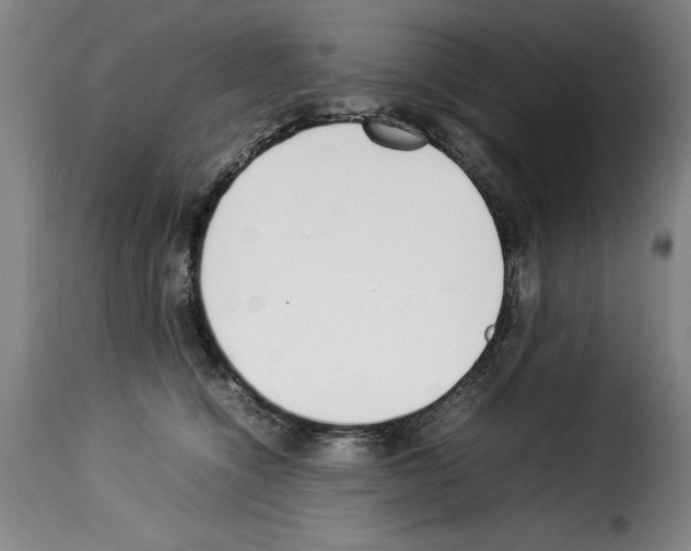 X0000114220564200911201048