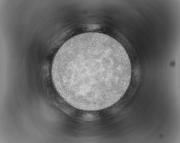 X0000114220565200911201048