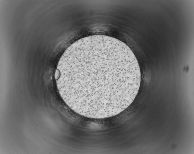 X0000114220567200911201048