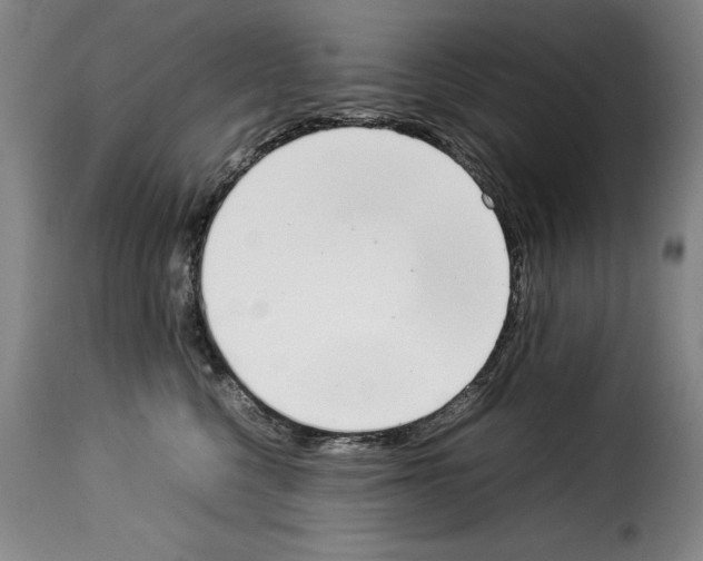 X0000114220568200911201048