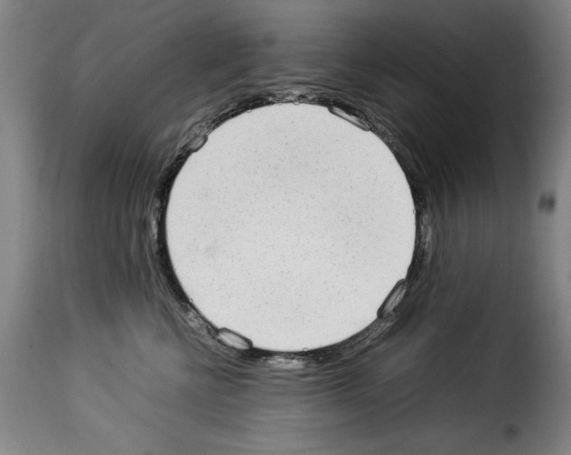 X0000114220570200911201048