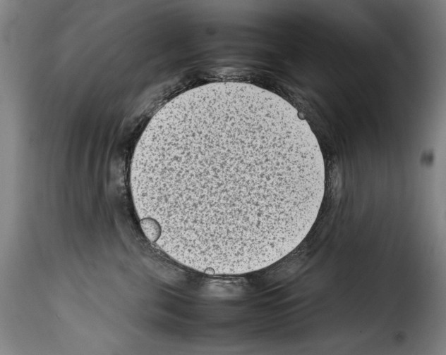 X0000114220571200911201048