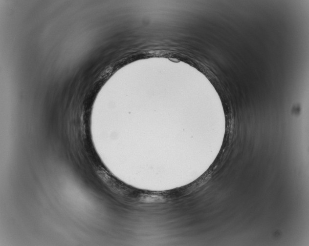 X0000114220572200911201048