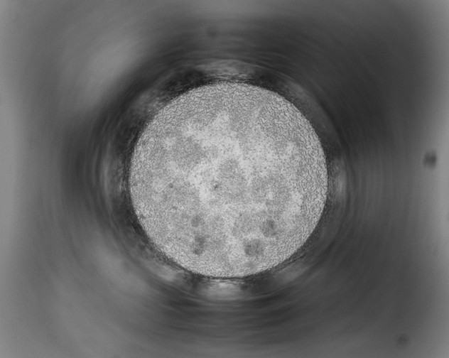 X0000114220573200911201048