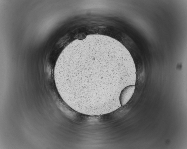 X0000114220574200911201048