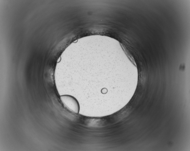 X0000114220575200911201048