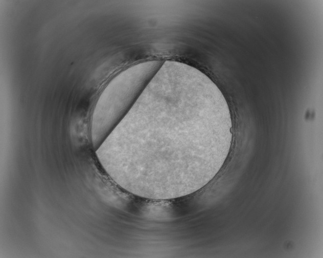 X0000114220576200911201048