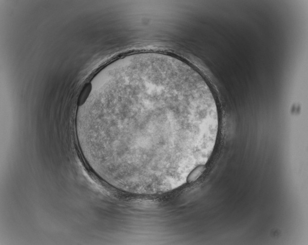 X0000114220577200911201048