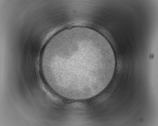 X0000114220578200911201048