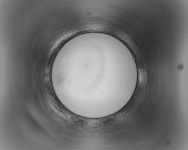 X0000114220579200911201048
