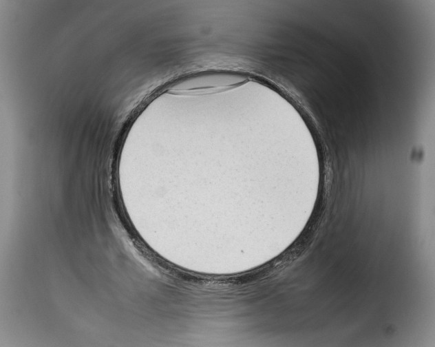 X0000114220581200911201048