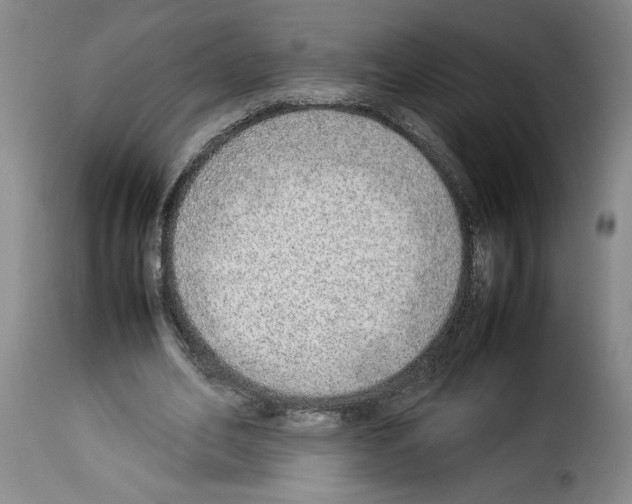X0000114220582200911201048