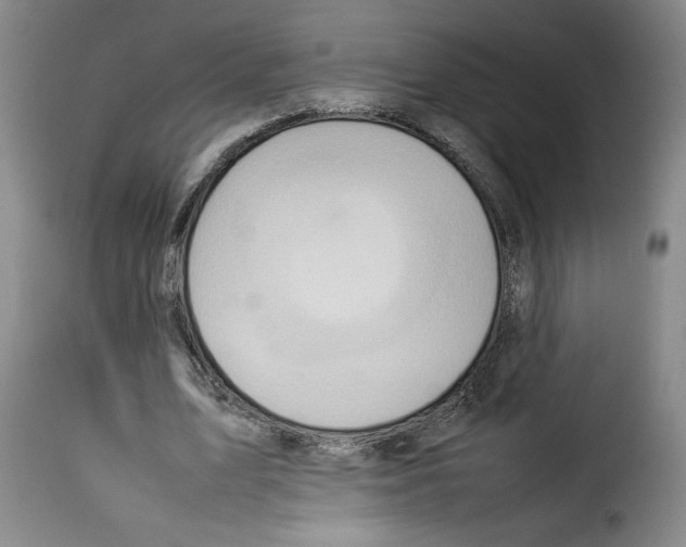 X0000114220583200911201048