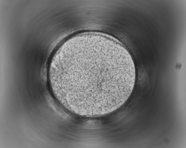 X0000114220584200911201048