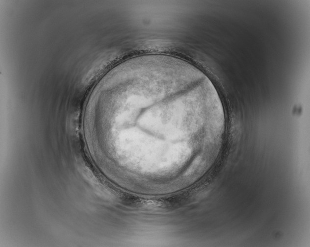 X0000114220585200911201048