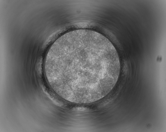 X0000114220590200911201047