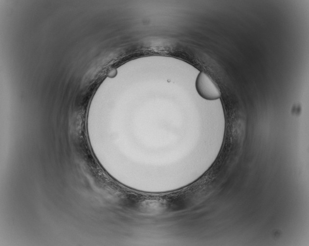 X0000114220595200911201047