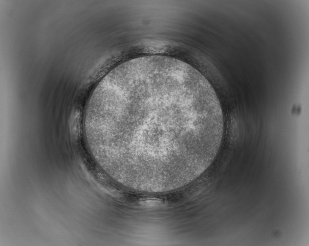 X0000114220598200911201047