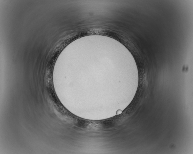 X0000114220599200911201047