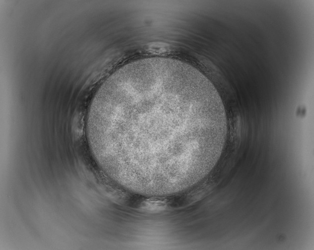 X0000114220606200911201047