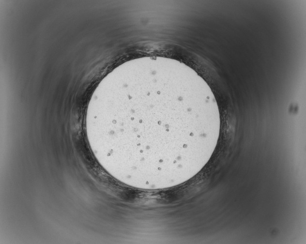 X0000114220607200911201047