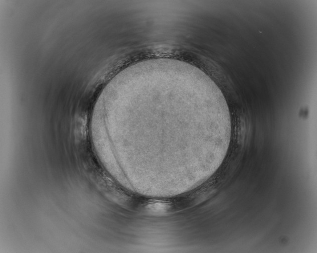 X0000114220610200911201047