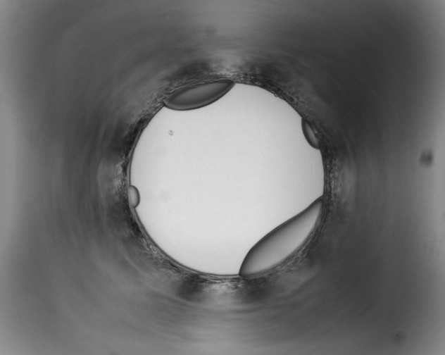 X0000114220611200911201047
