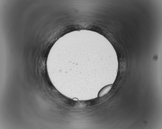 X0000114220613200911201047