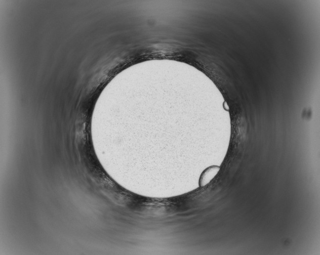 X0000114220615200911201047