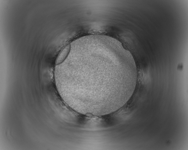 X0000114220621200911201047