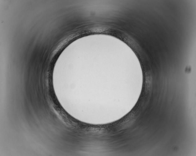 X0000114220626200911201046
