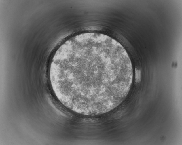 X0000114220627200911201046