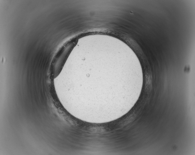 X0000114220628200911201046
