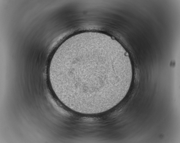 X0000114220629200911201046