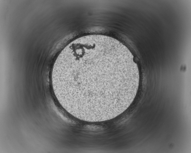 X0000114220633200911201046
