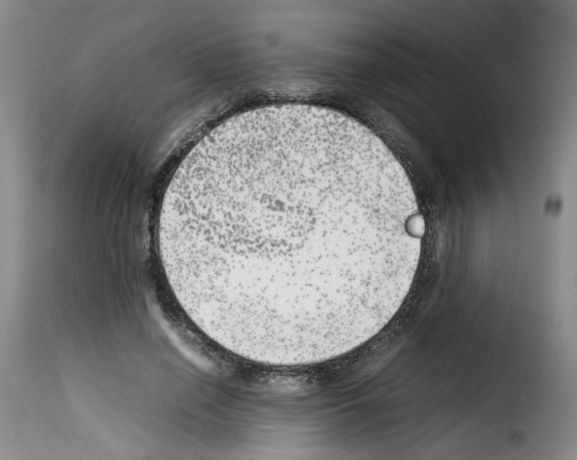 X0000114220638200911201046