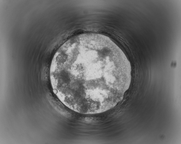 X0000114220641200911201047