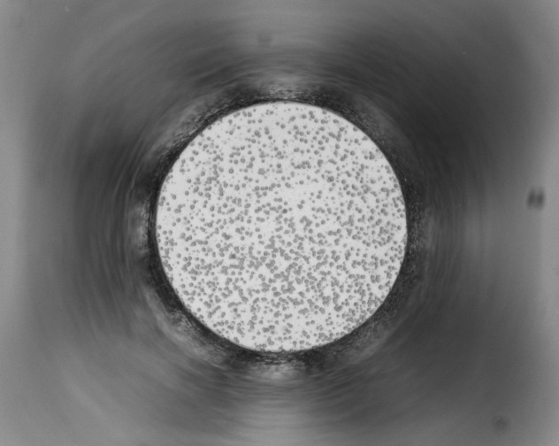X0000114220646200911201047