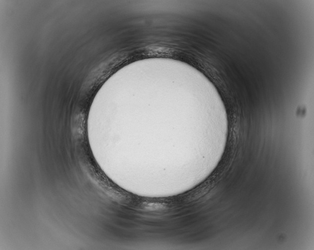 X0000114220649200911201047