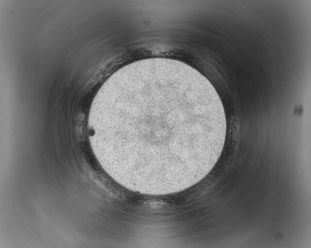 X0000114220650200911201047