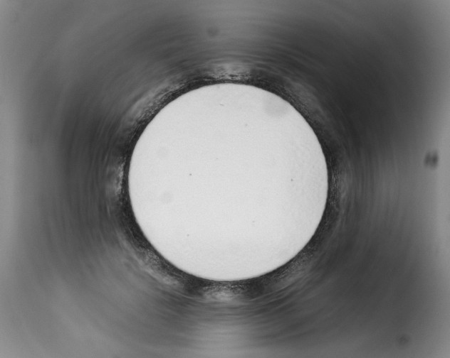 X0000114220652200911201047