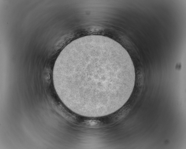 X0000114220654200911201047