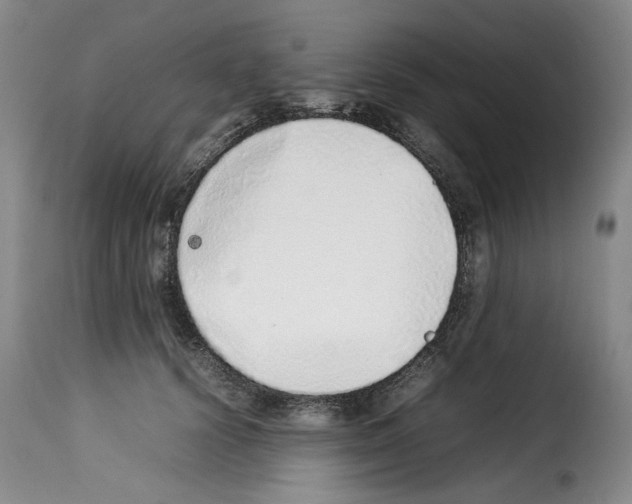 X0000114220656200911201047