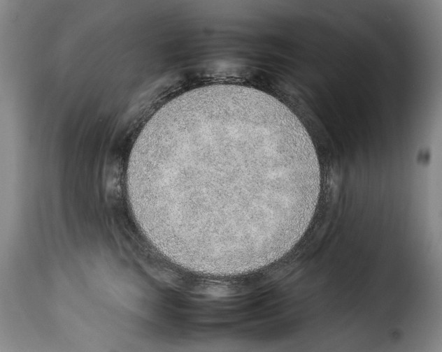 X0000114220663200911201047
