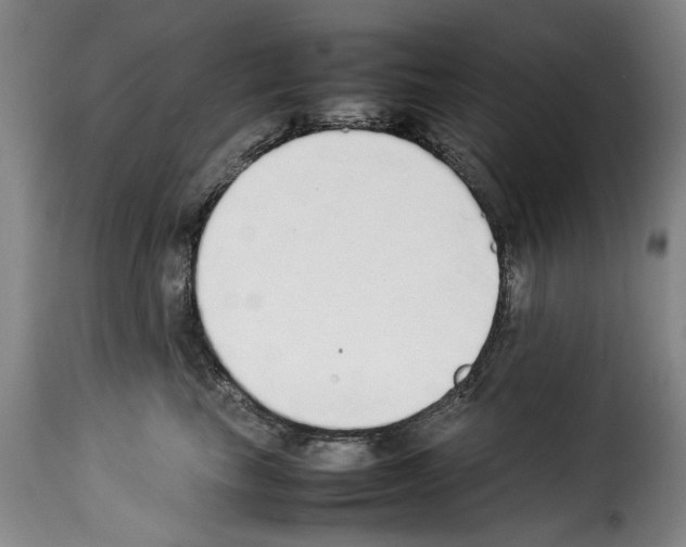 X0000114220665200911201047