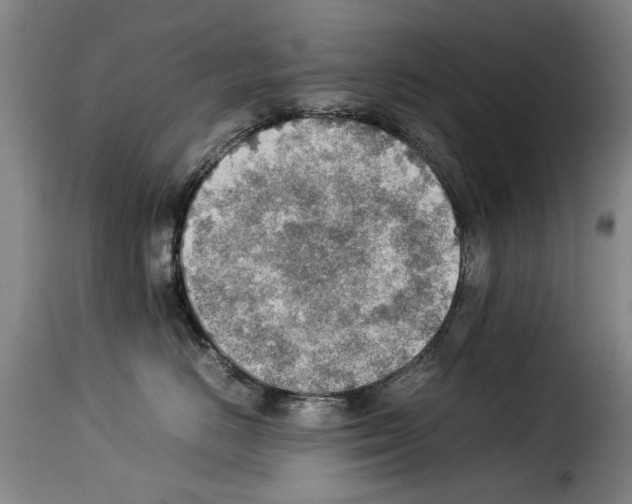 X0000114220670200911201047